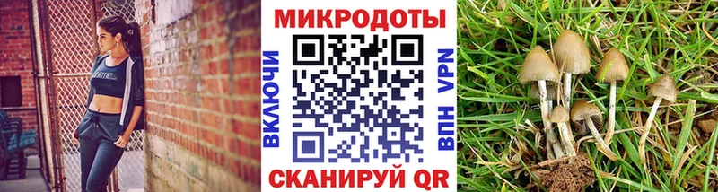мега tor купить наркотик Жуковка Галлюциногенные грибы мицелий